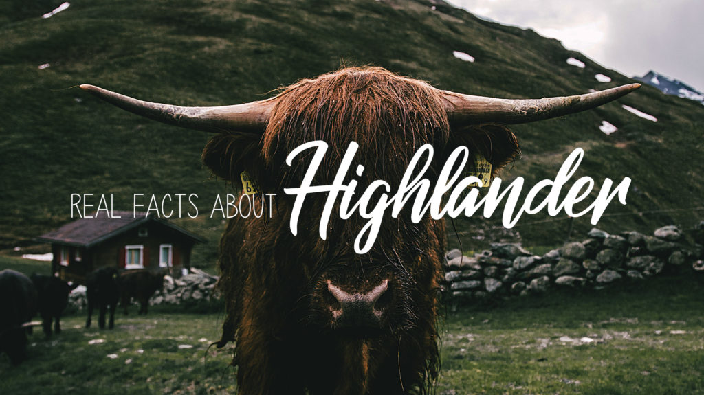 Real facts about the Highlander